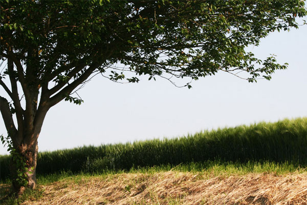 Wunderschöne Landschaft im Umfeld