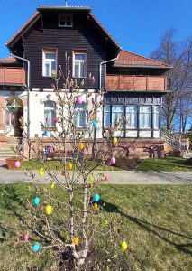 Ein herrlicher Frühlingstag mit blauem Himmel, osterlich geschmückter Baum und die Villa Rochsburg.